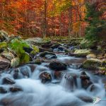 Ruscello d'acqua della montagna