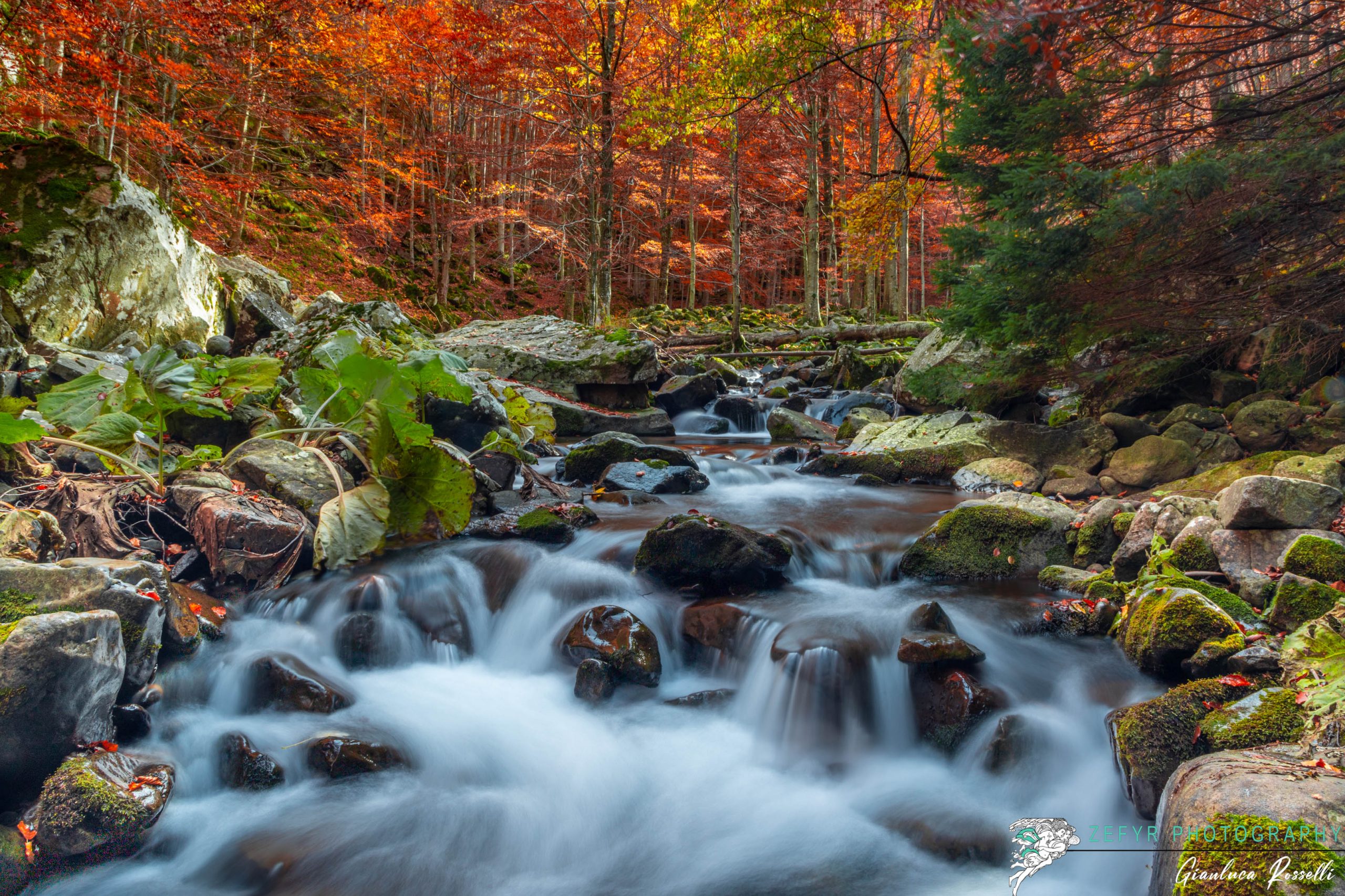 come fotografare il foliage
