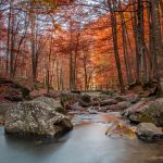 Autunno c (3 di 3)